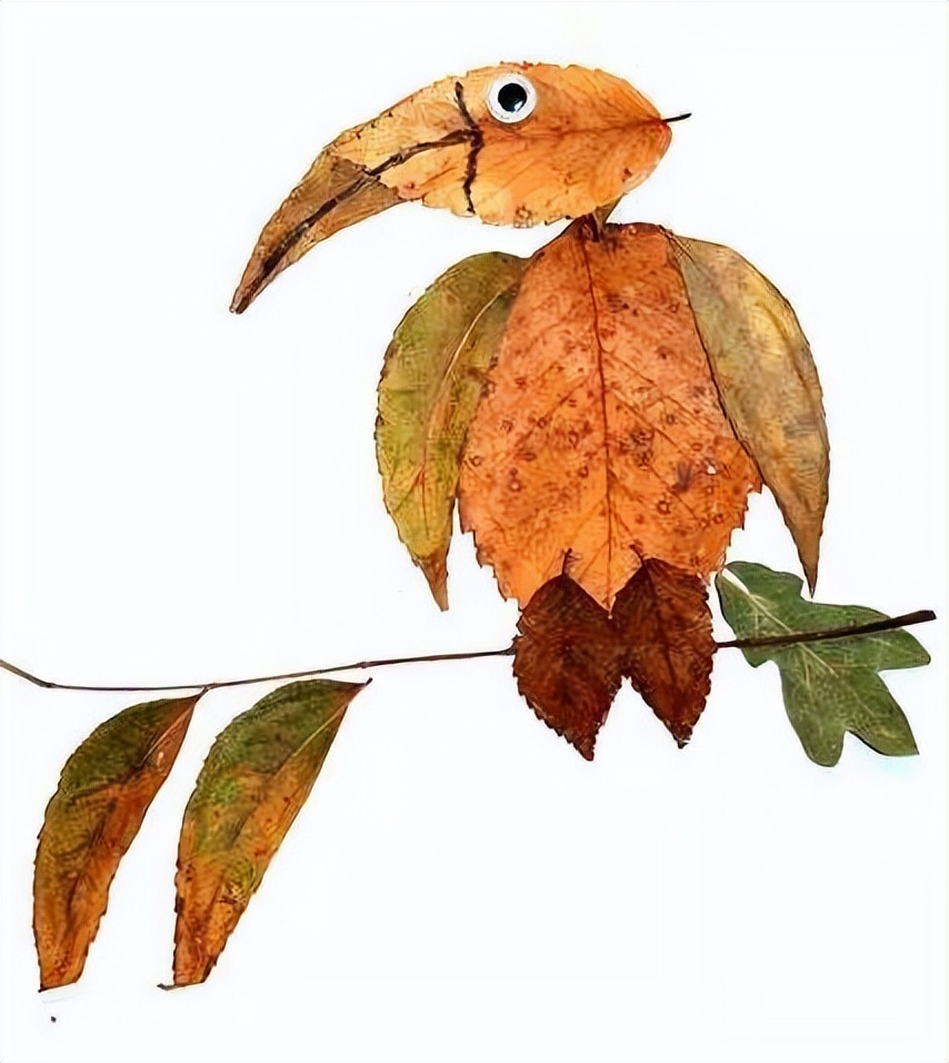 用落叶做一幅秋天的画,用水粉落叶做一幅秋天的画