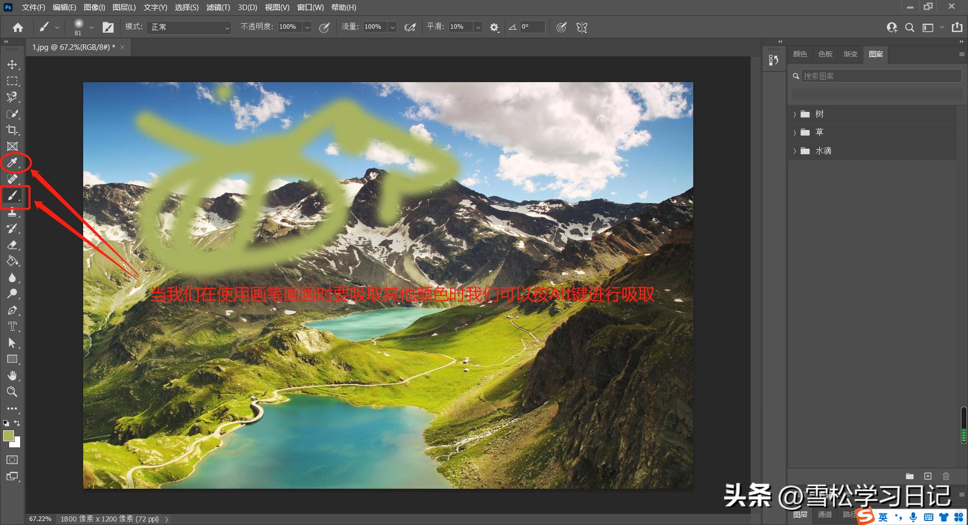 ps基础快捷键教学视频,ps快速选择工具新手教程