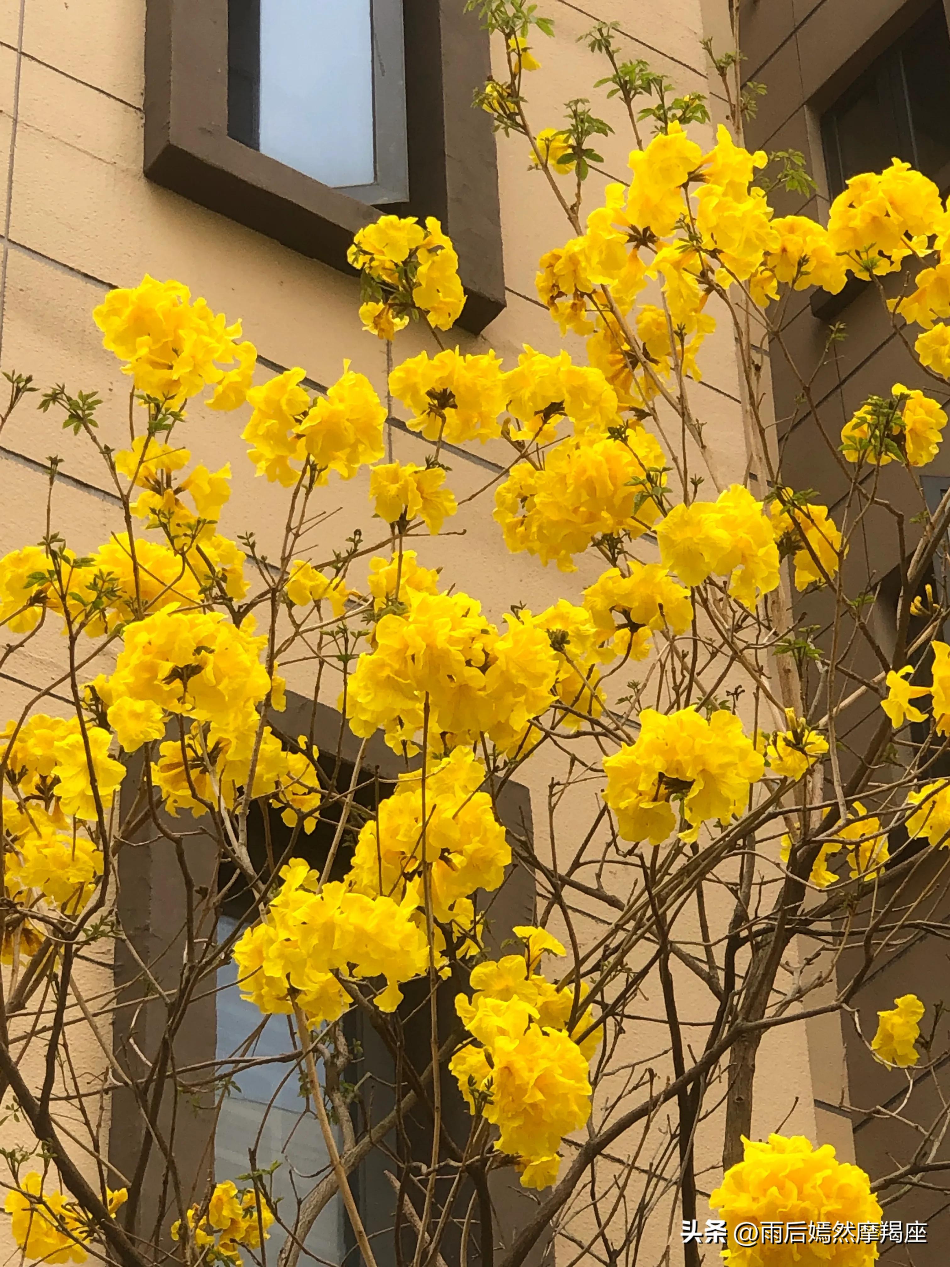 恒大金碧物业工作靠谱吗,恒大金碧物业的服务项目