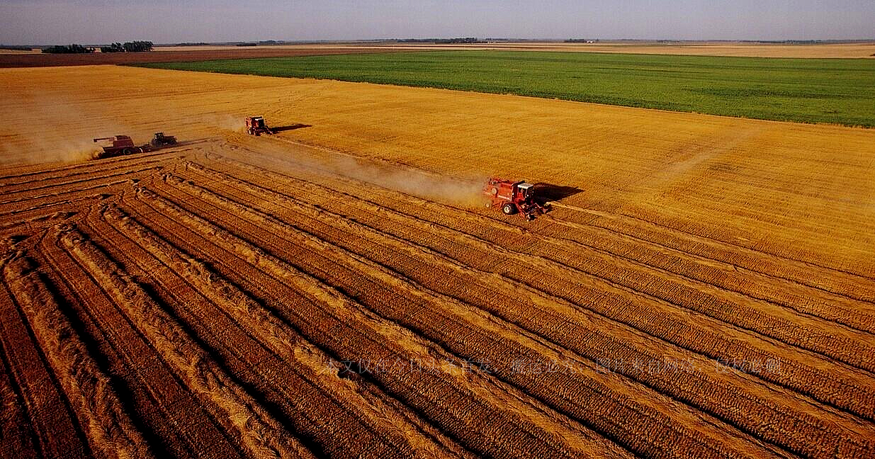 日本租山东1500亩地现在怎样了,日本租山东上千亩荒地5年
