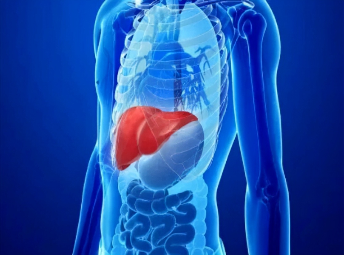 长期的药物肝损伤有什么危害,长期吃药肝损伤要检查什么项目