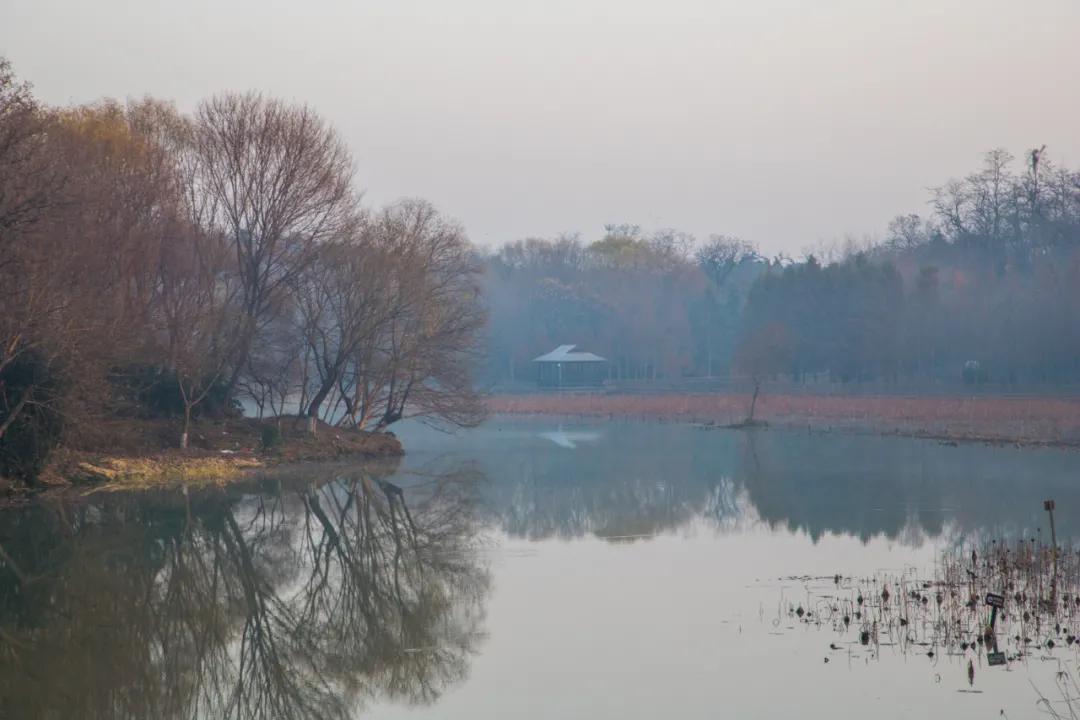 扬州冬天冷吗有暖气吗,扬州冬天气温怎么样