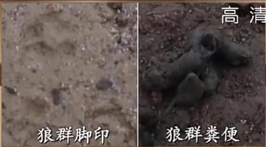 探索发现柴达木湖未解之谜,柴达木盆地的恶魔之眼的形成原因