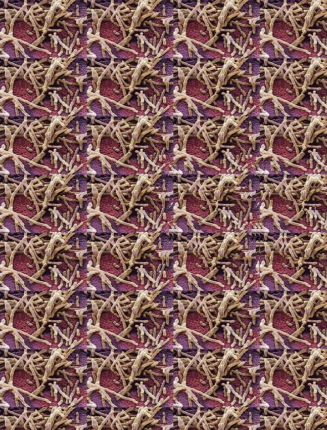 朋友网购收到一条坏的裤子，找客服后被质疑