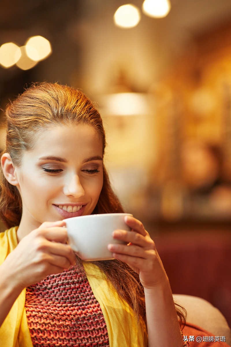 wouldlike用法教案,wouldlike是什么意思