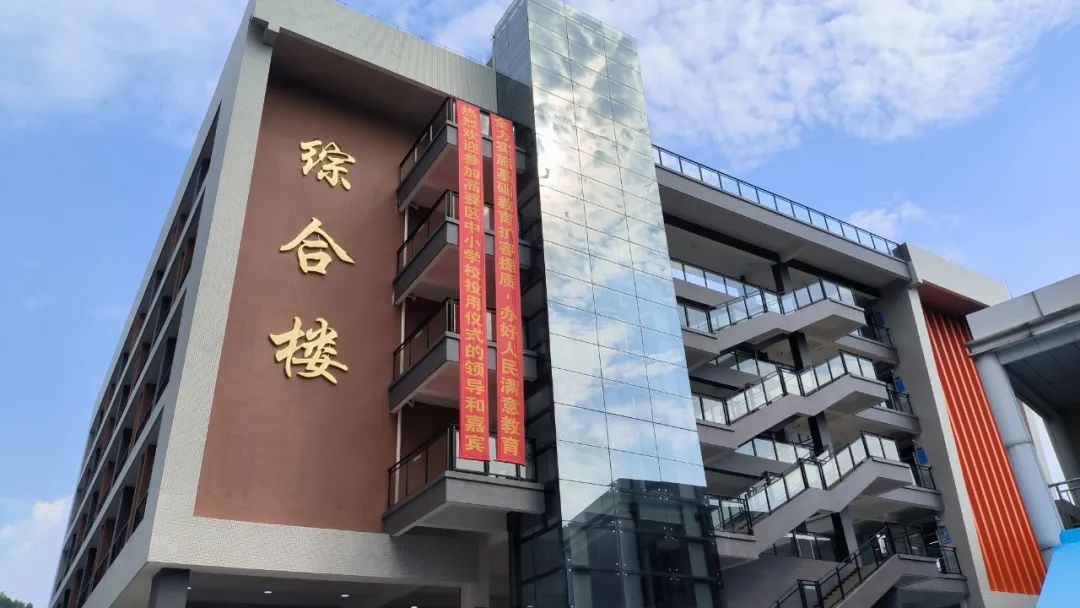 学校基础教育高质量发展三年规划,基础教育高质量发展建议和意见