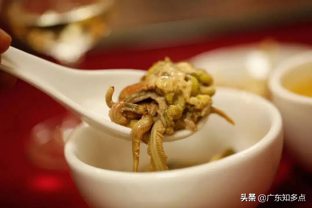 湛江沙虫吃美食,湛江吃禾虫的地方