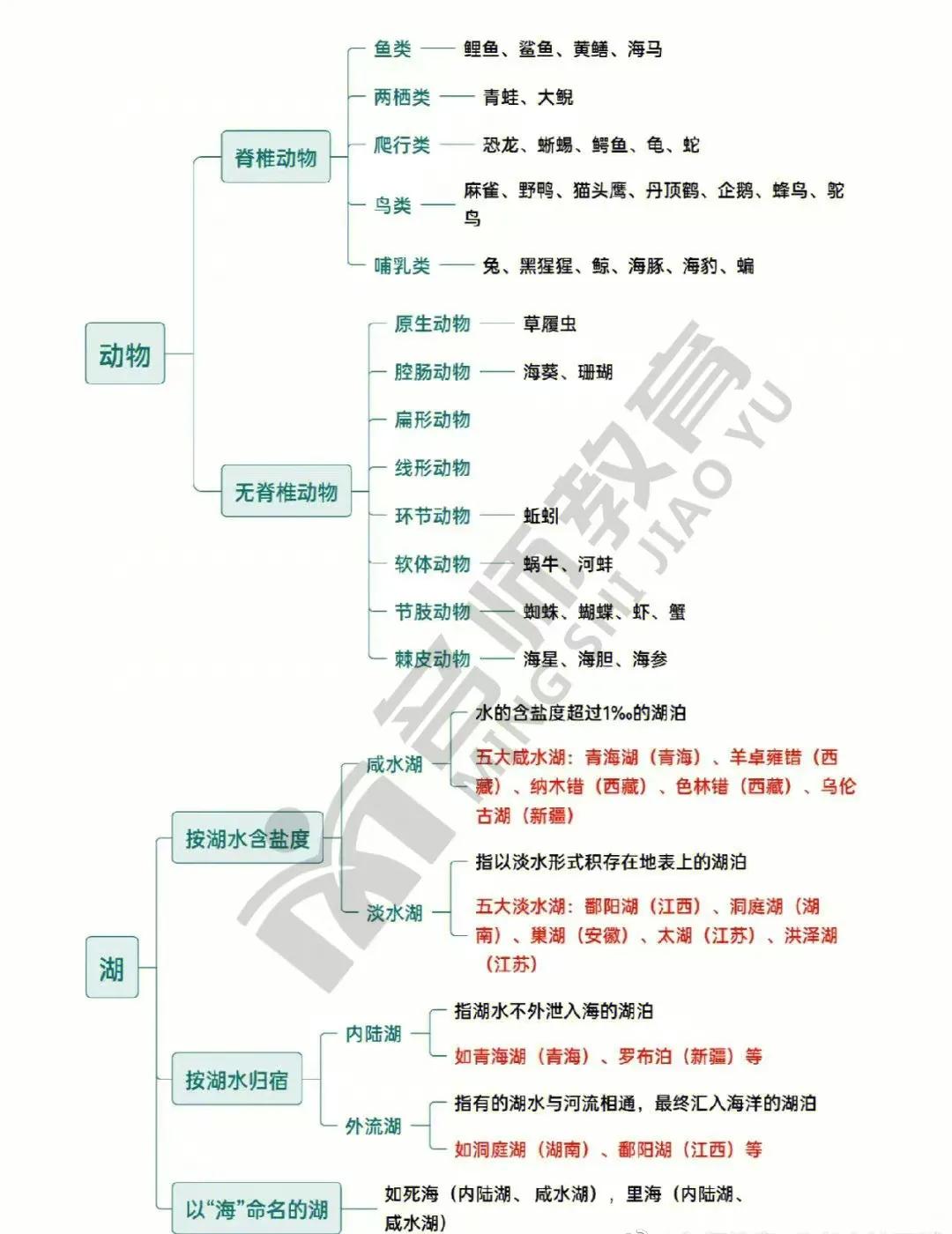 类比推理的二级辨析思维导图,类比推理二级辨析经典例题