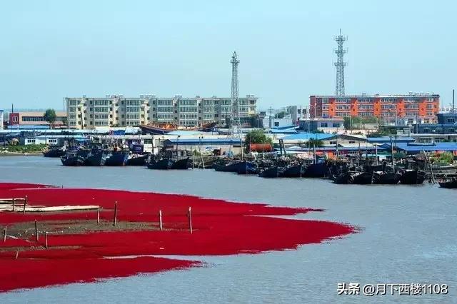 辽沈大地，沃野千里。最新一届中央委员和候补委员中有多少辽宁人