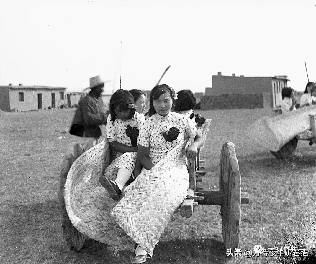 万里追踪纪录片完整版,1937年万里猎影记