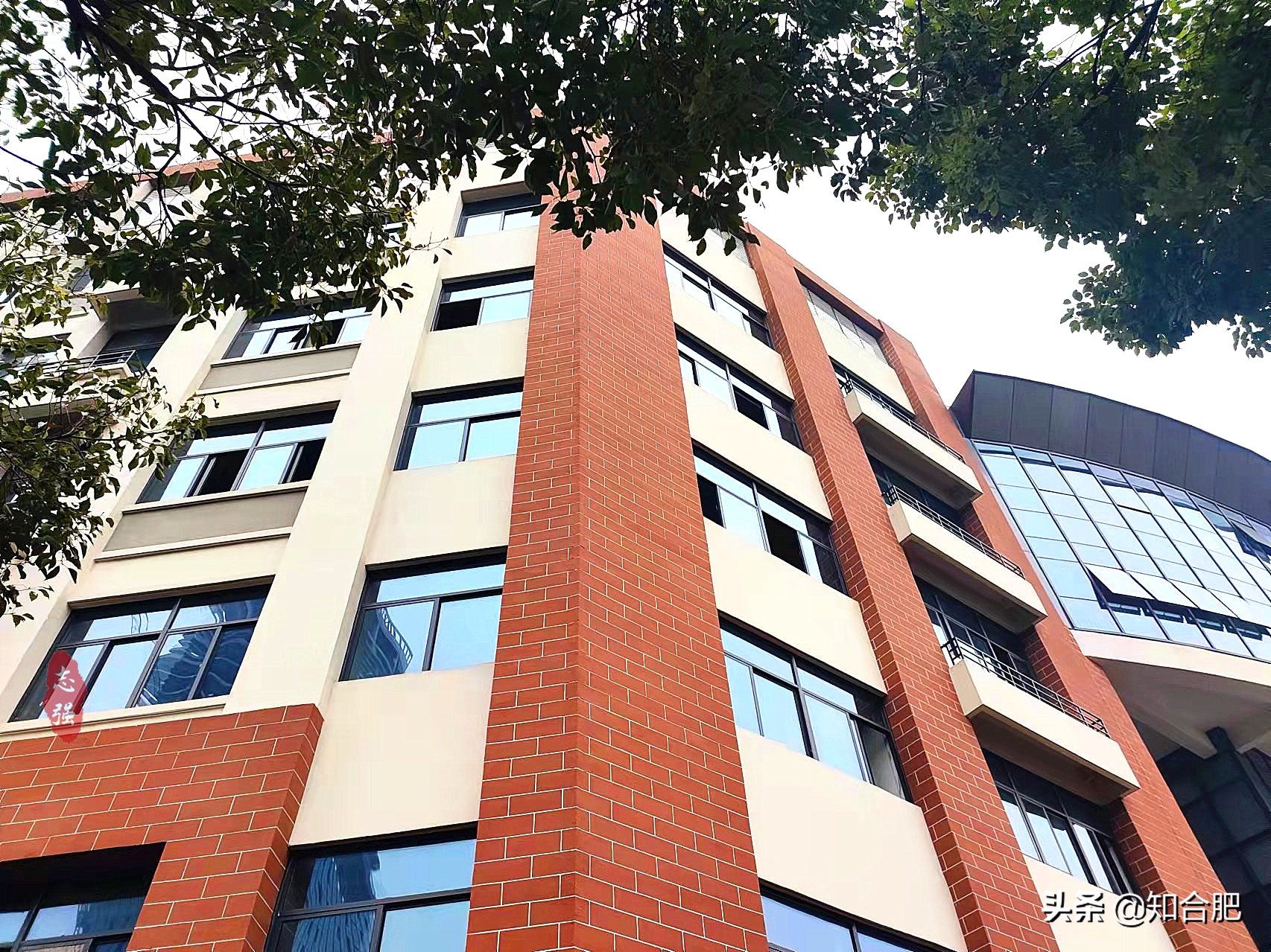 合肥师范学院和安徽师范大学,安徽师范大学图片好看