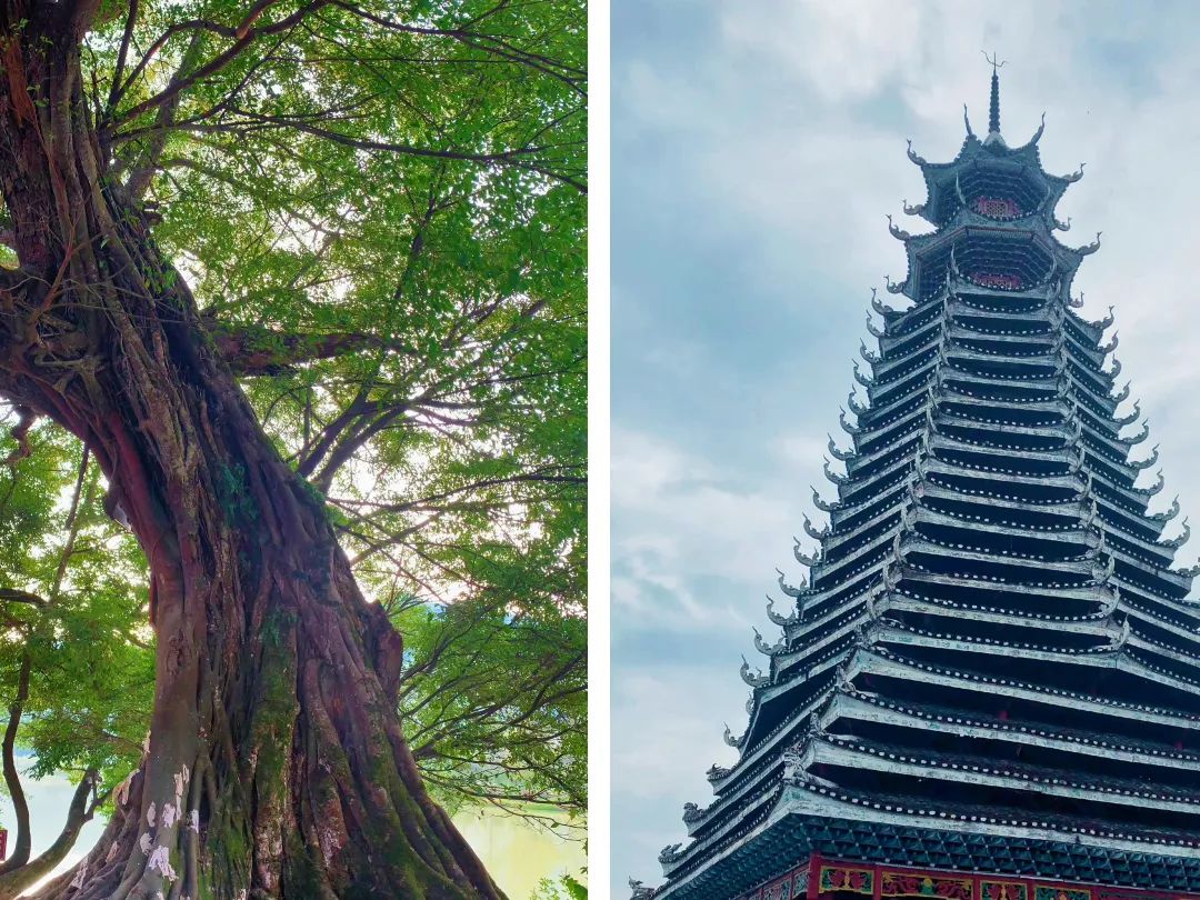 贵州村超哪里可以看回放,贵州村超去哪里看