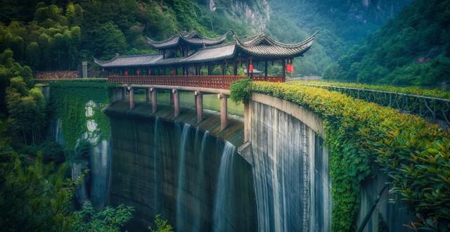 2023年十大网络热词,2023网络热词有哪些