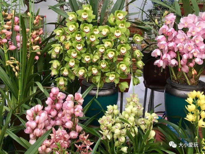 京城“土著”都来这些地方置办年货，既快乐又省钱年前怎么也得去