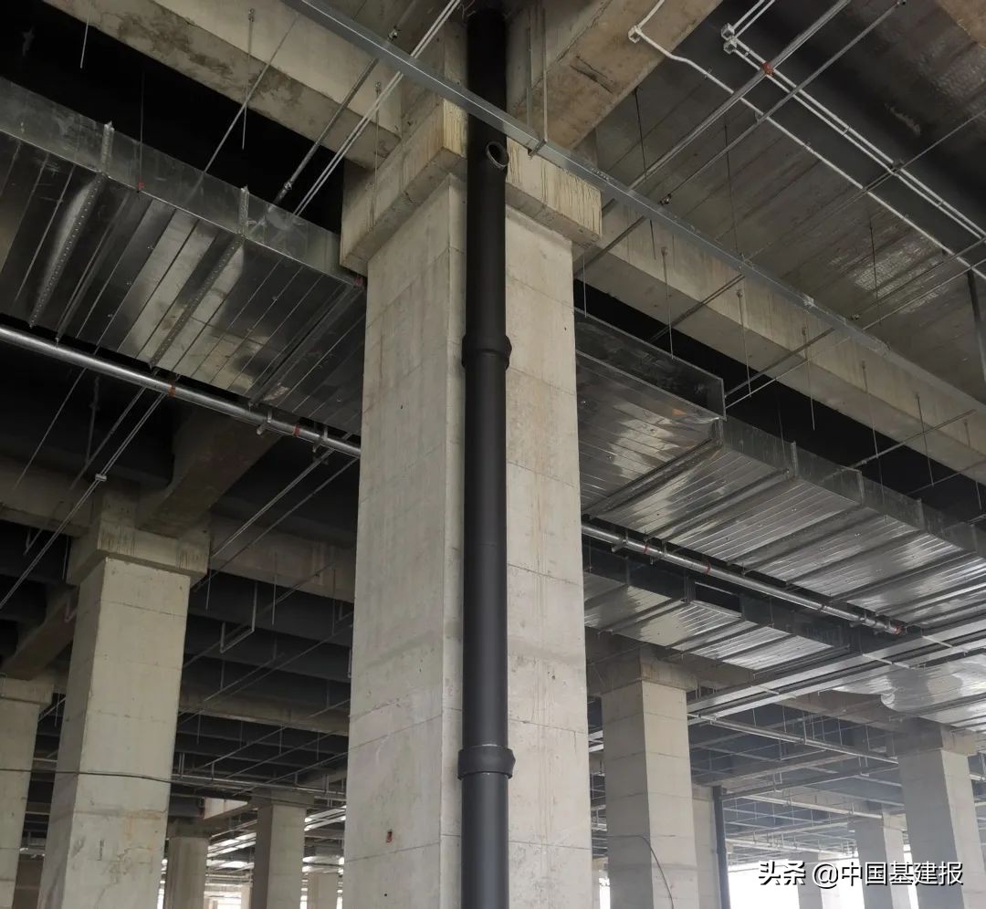 2022年国家骨干冷链物流基地建设,冷链物流园区包括哪些项目