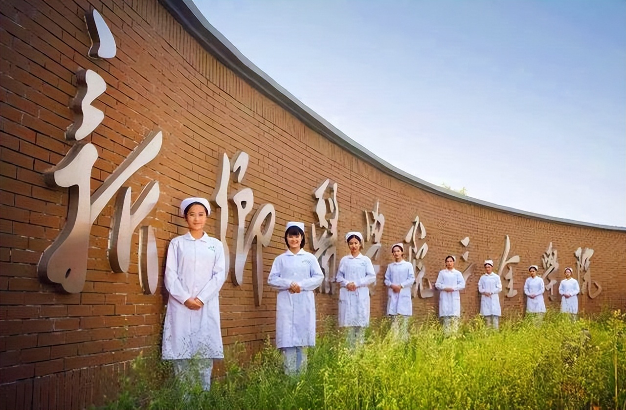 河南最后一所独立学院,2023年河南有几所独立学院