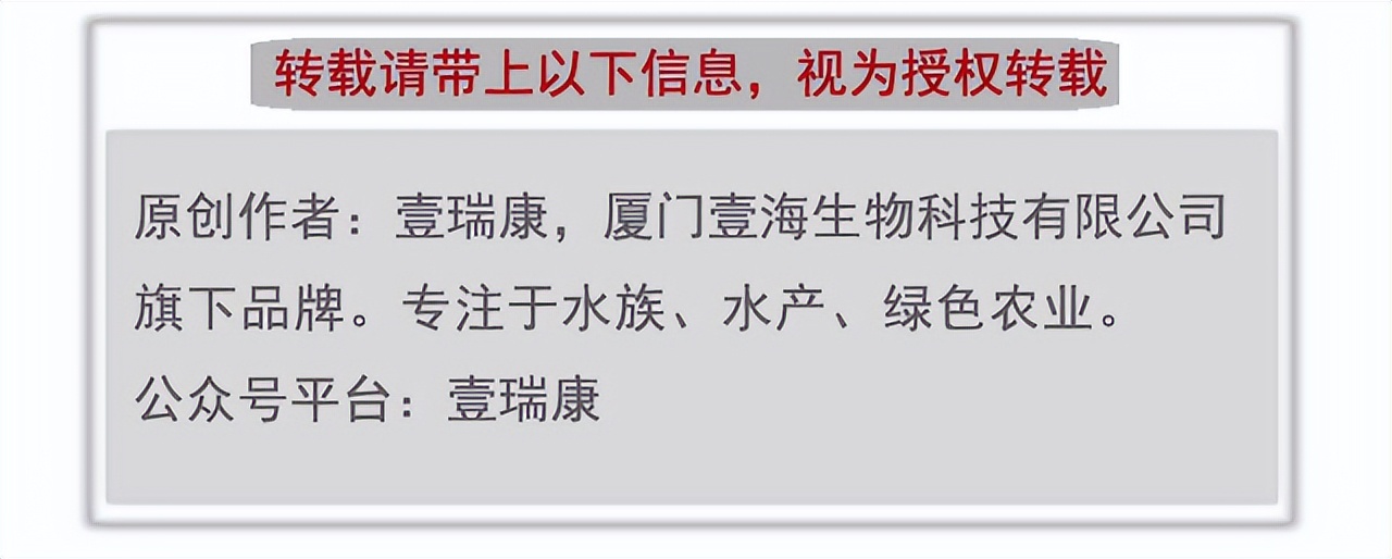 龙鱼病害防治图片,龙鱼常见疾病表现图片