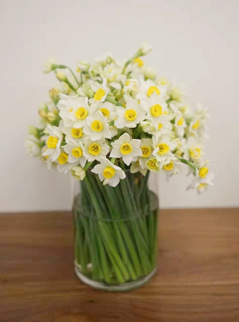 这几种常见花有毒居家养护要小心,四种剧毒的花家里千万别养