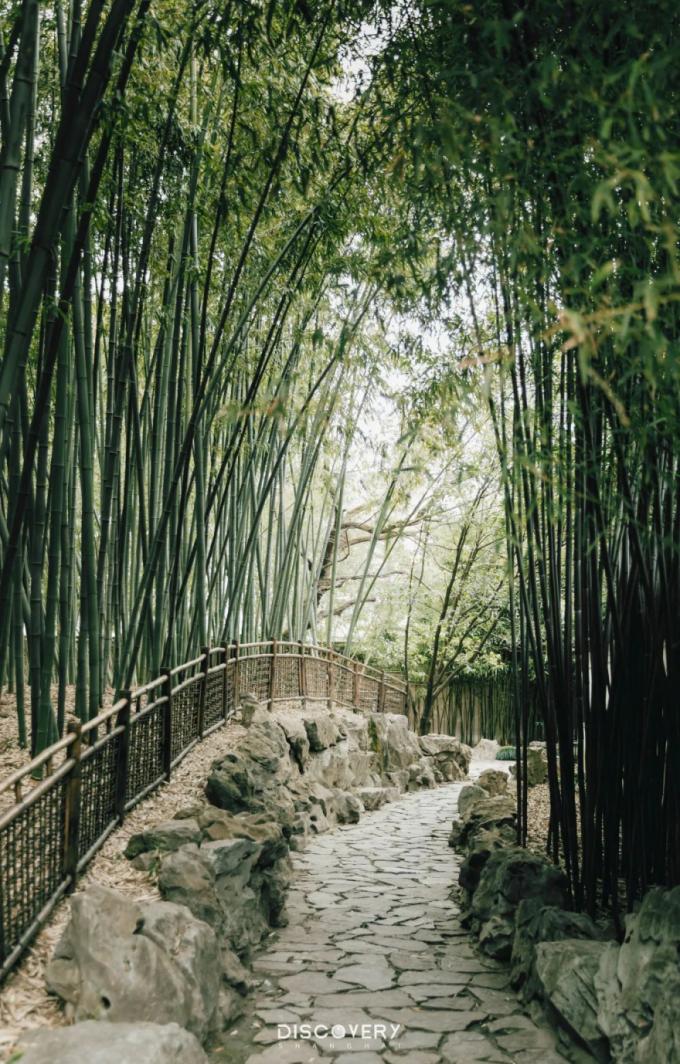 实用全上海532家公园攻略速速收藏,上海攻略必去的公园