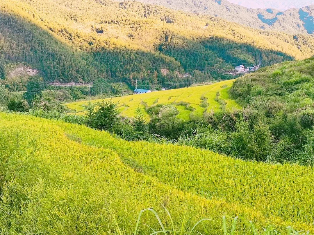 韶关秋天哪里有美景,韶关秋天美景