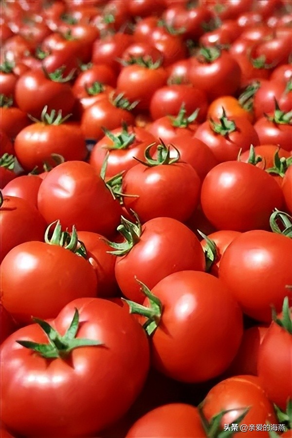 60年代的洋物件,五六十年代的洋东西都有啥