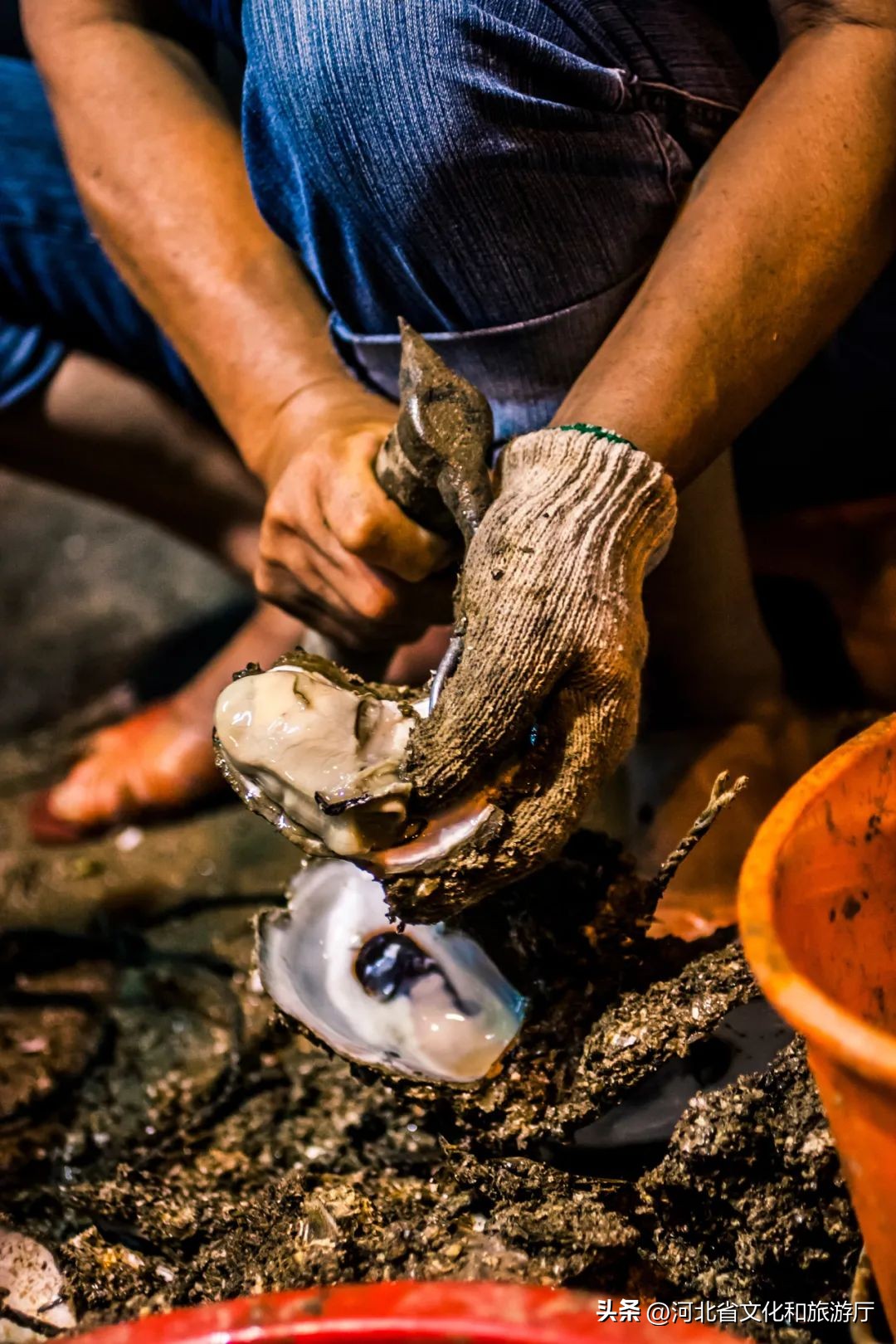 现在海鲜哪种最好吃,现在的海鲜哪个最好吃