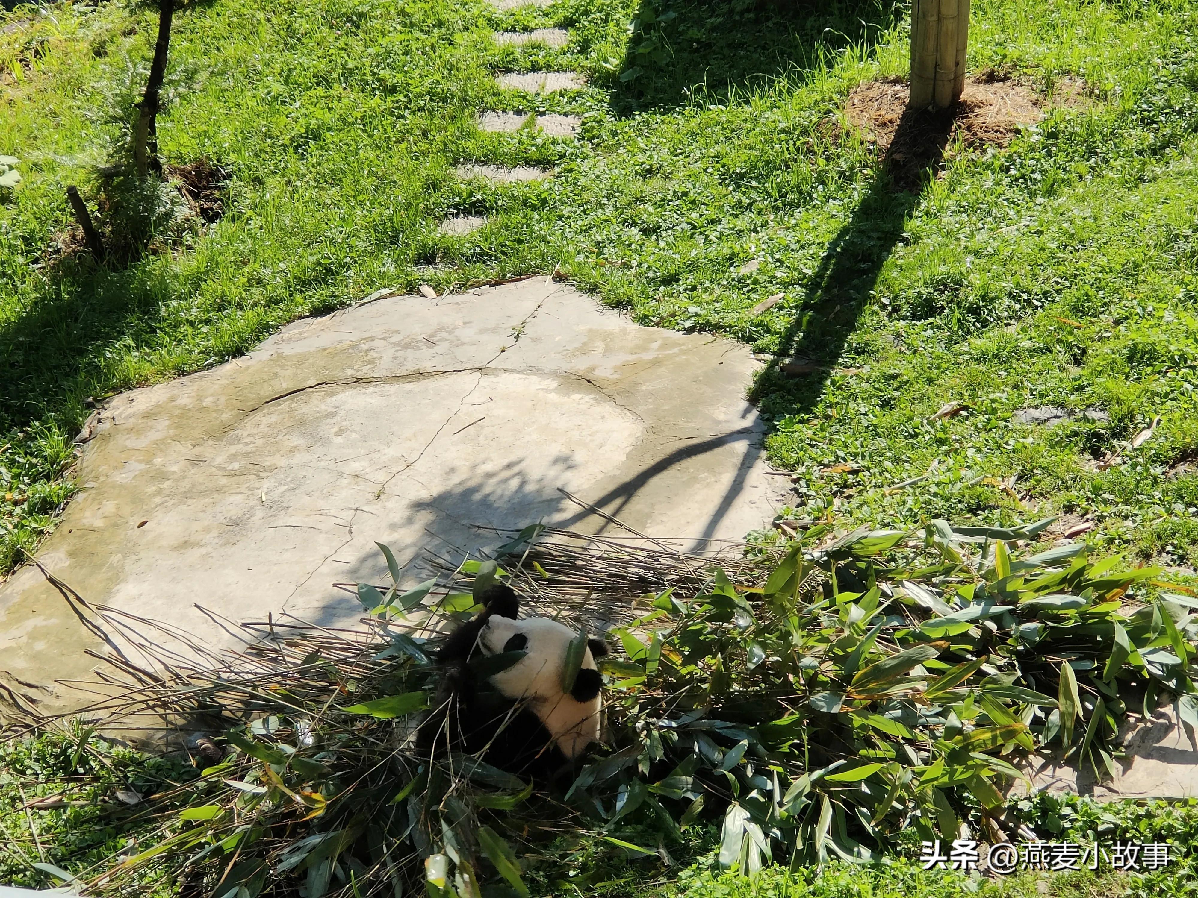 西安自驾神农架恩施旅游攻略,西安到神农架自驾游攻略