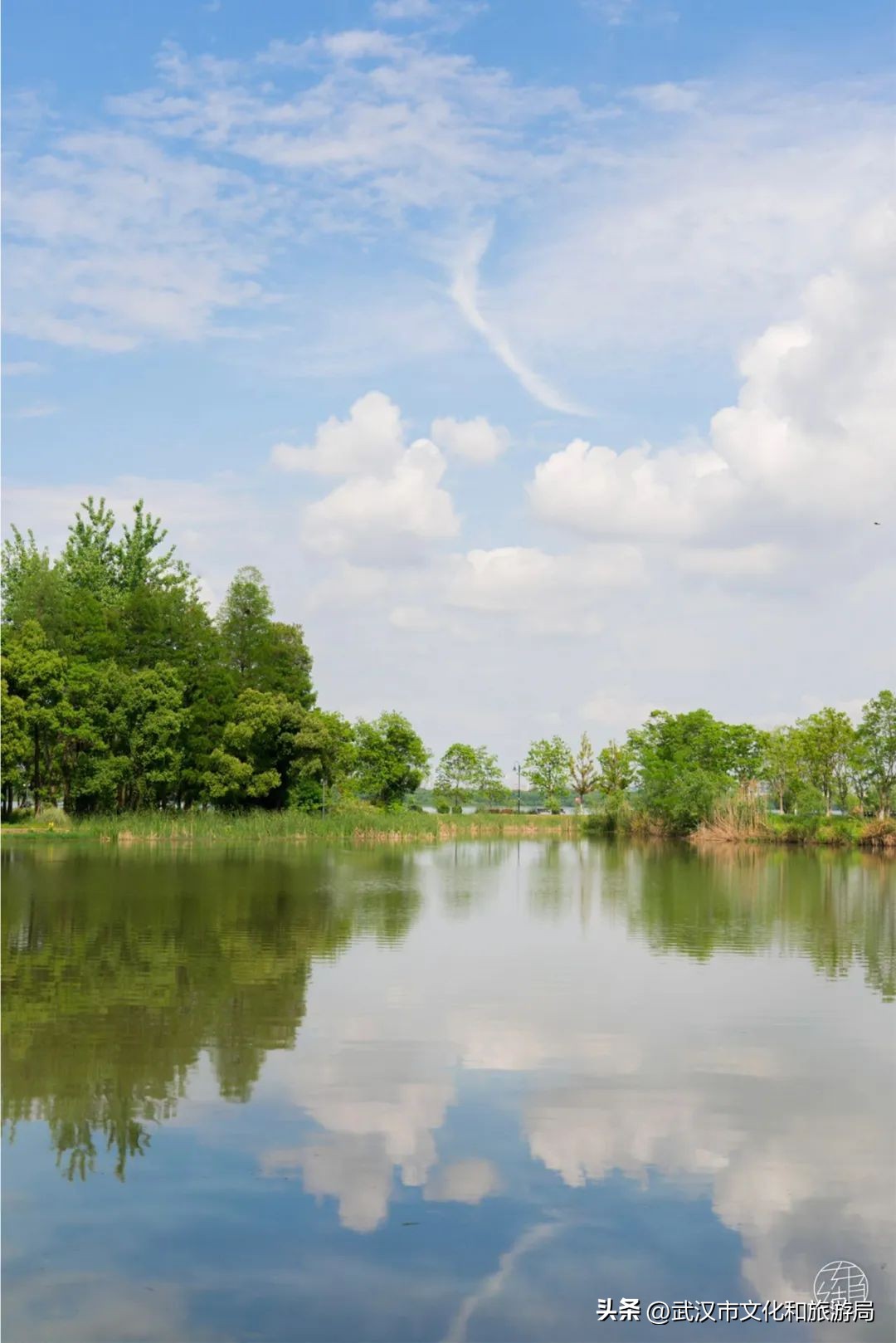 武汉东湖免费看海,武汉看海的最佳地方