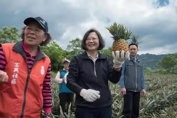 台湾菠萝为什么便宜,台湾菠萝后续怎么样了