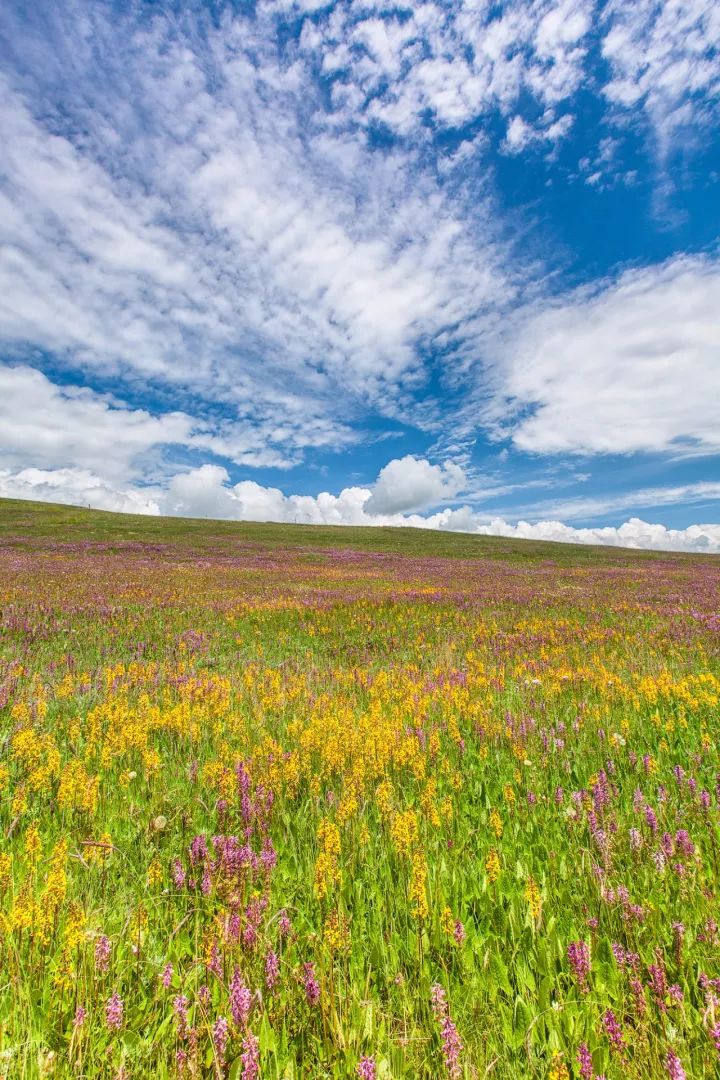 什么是甘肃,什么是甘肃地震