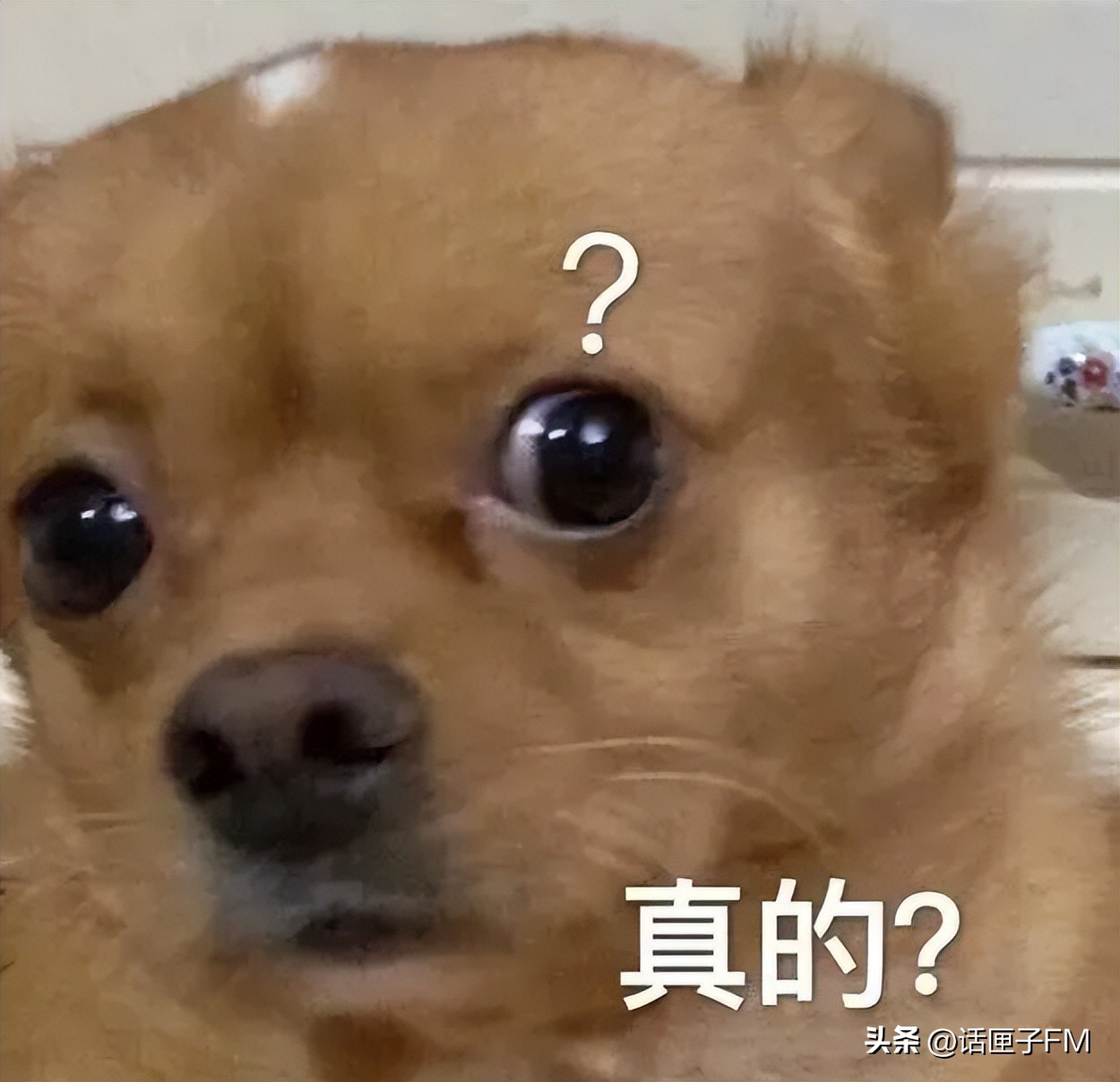 加了qq群就能骗钱吗,加qq群退费的骗局报警能找到吗