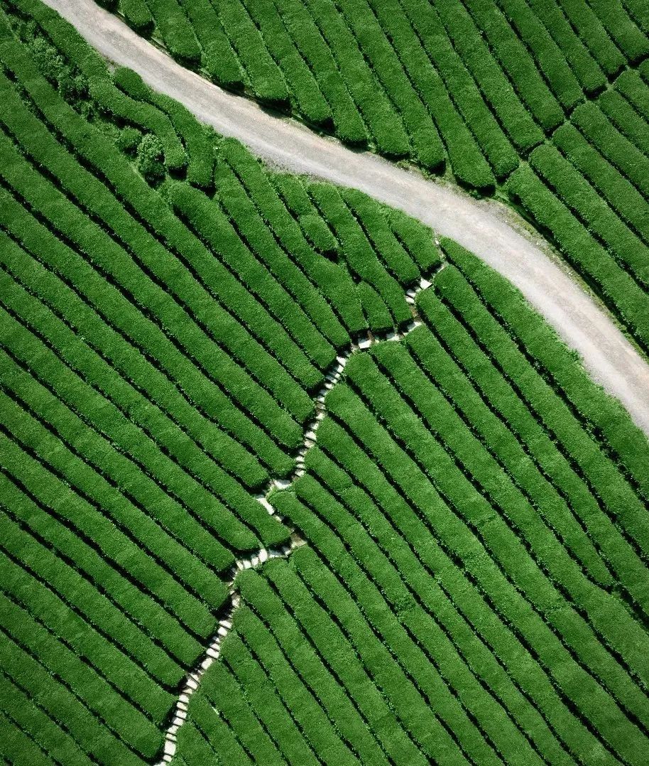 安徽值得一家人旅游的地方,安徽有哪些吸引人的地方