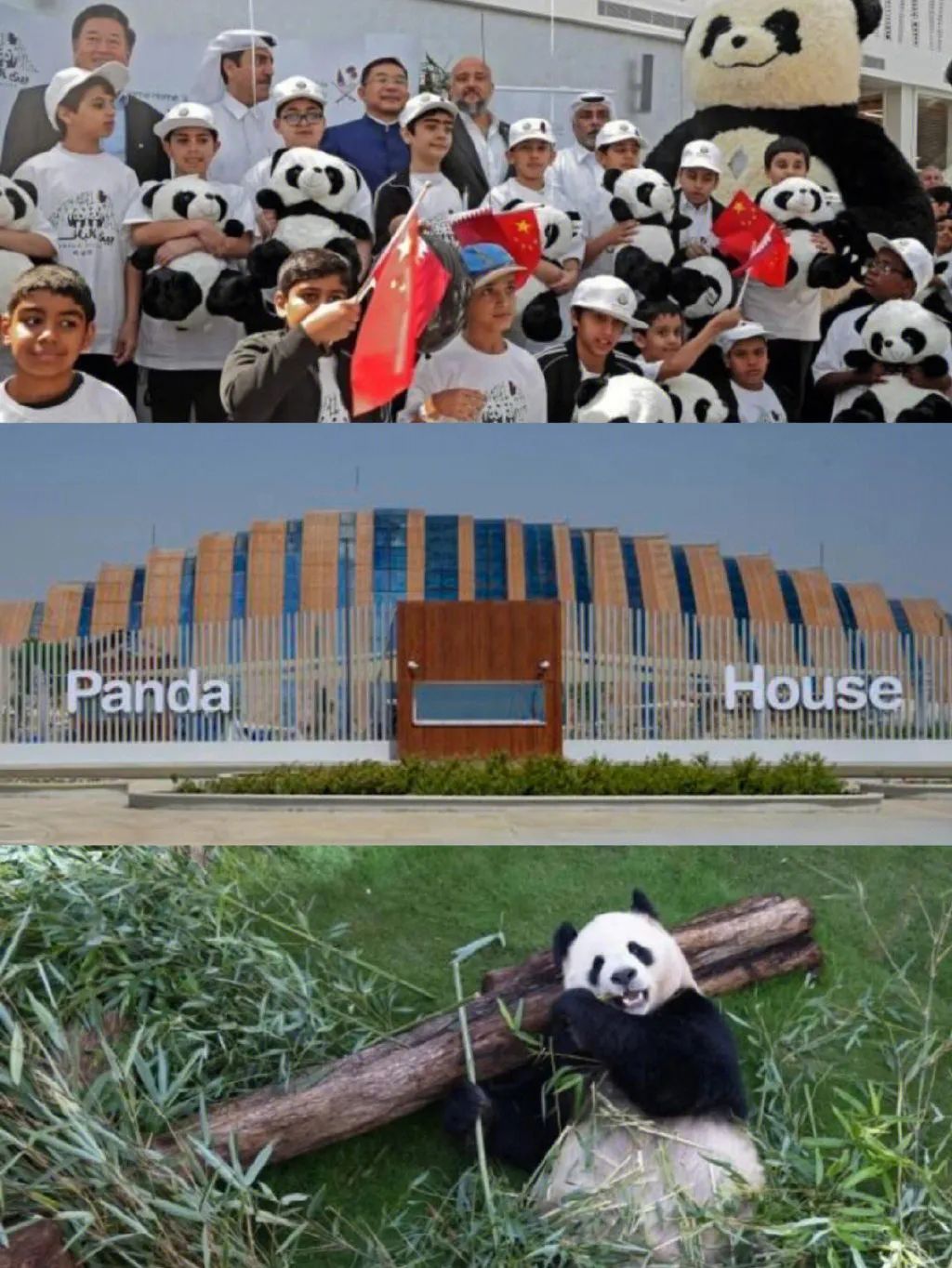 世界杯里的中国元素,2022世界杯的中国元素有哪些