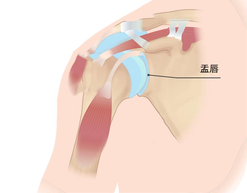 肩膀抬手时咯咯响,肩膀转动吱吱响怎么回事