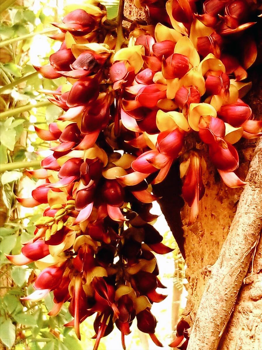 感恩母亲节祝自己节日快乐,母亲节感恩祝福词妈妈我爱你