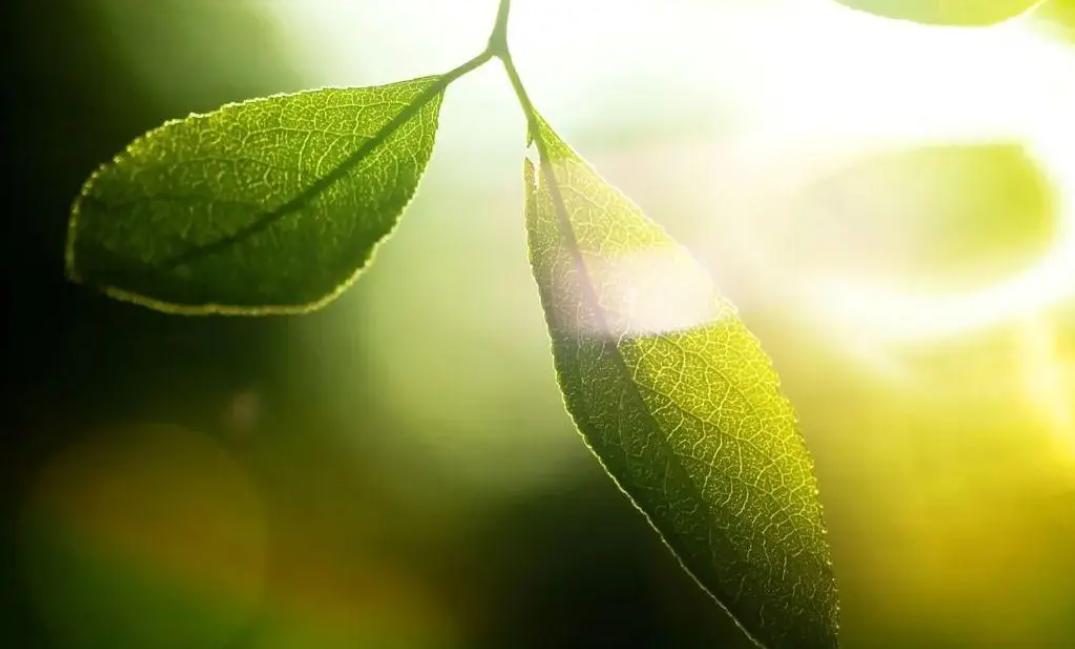 一秒一光年的飞船多久到宇宙边缘,最快宇宙飞船多少年才能飞一光年