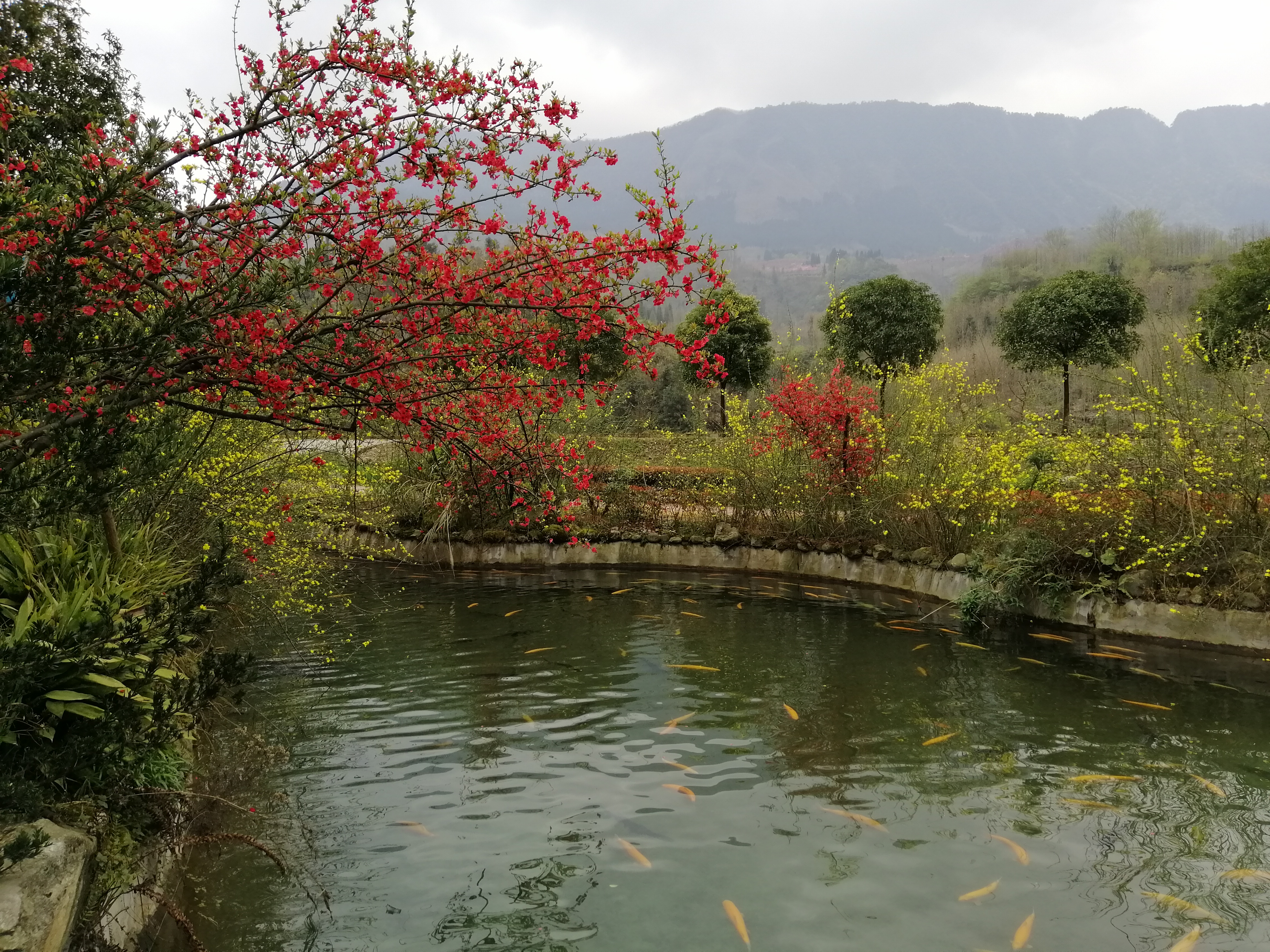 “种草”《大河恋》,解锁大虹鳟,也寻找着生命的意义