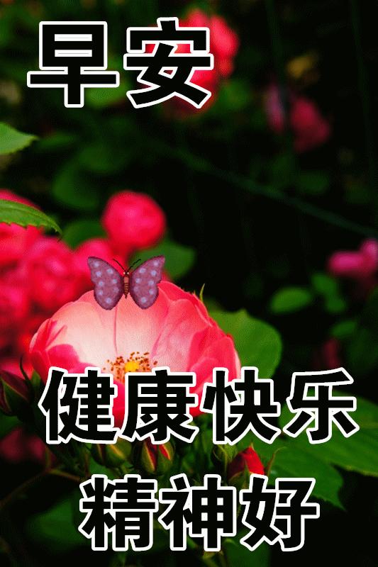 9月13号早上好问候图片,9月20日早上好问候图片