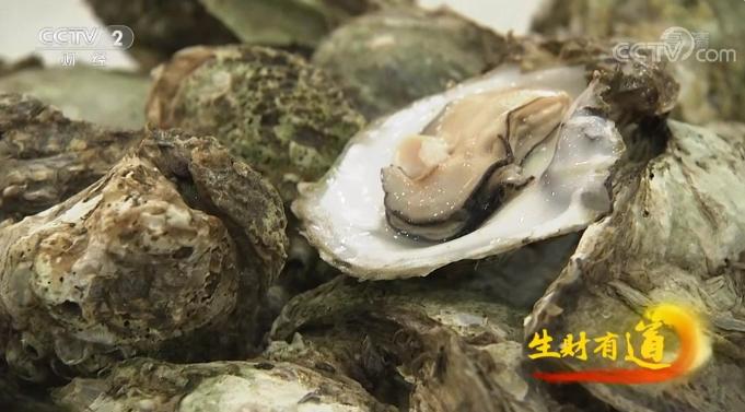 海味鲜，风情浓，不虚湛江行！央视又聚焦港城美食