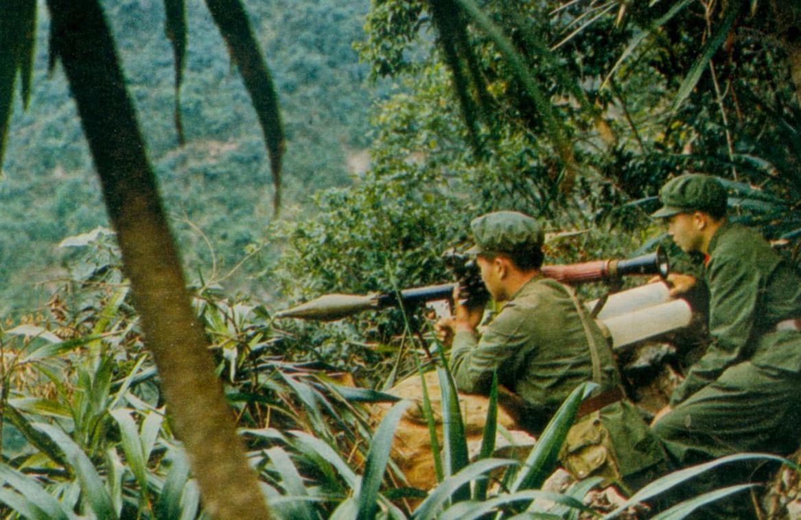 越南最强军队,越南击败过几国军队