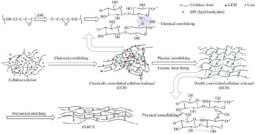 纤维素基水凝胶,纤维素水凝胶