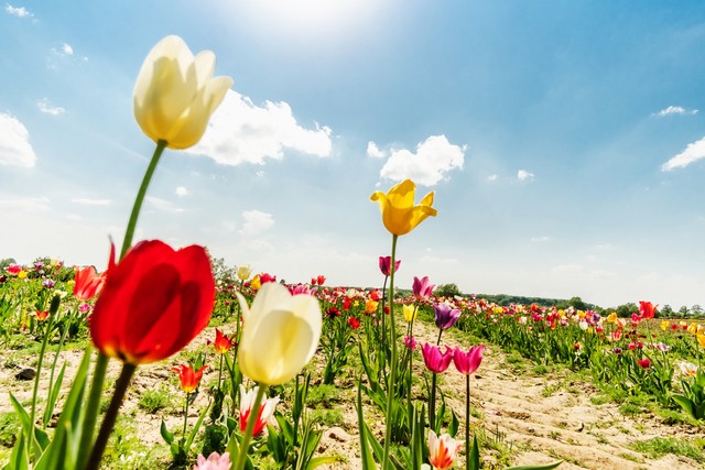 生活中不值钱的8件事,你生活花费时间最多的5件事