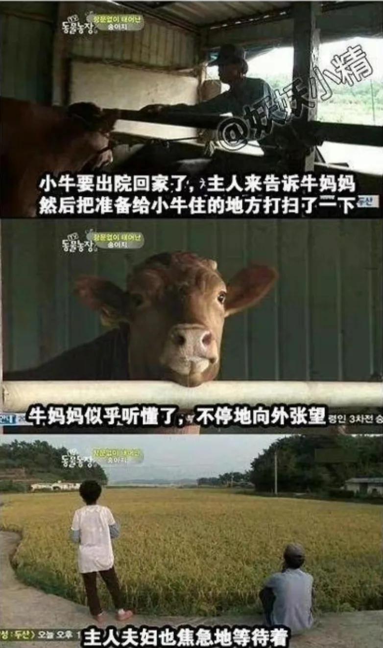 出生时没有肛门，有人却说要养他一辈子