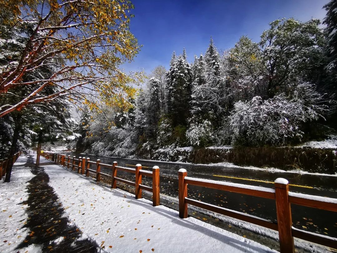 四川不同季节的九寨沟,四川最值得去的九寨沟
