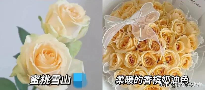 玫瑰花送你最浪漫,姑娘送一个玫瑰花给你