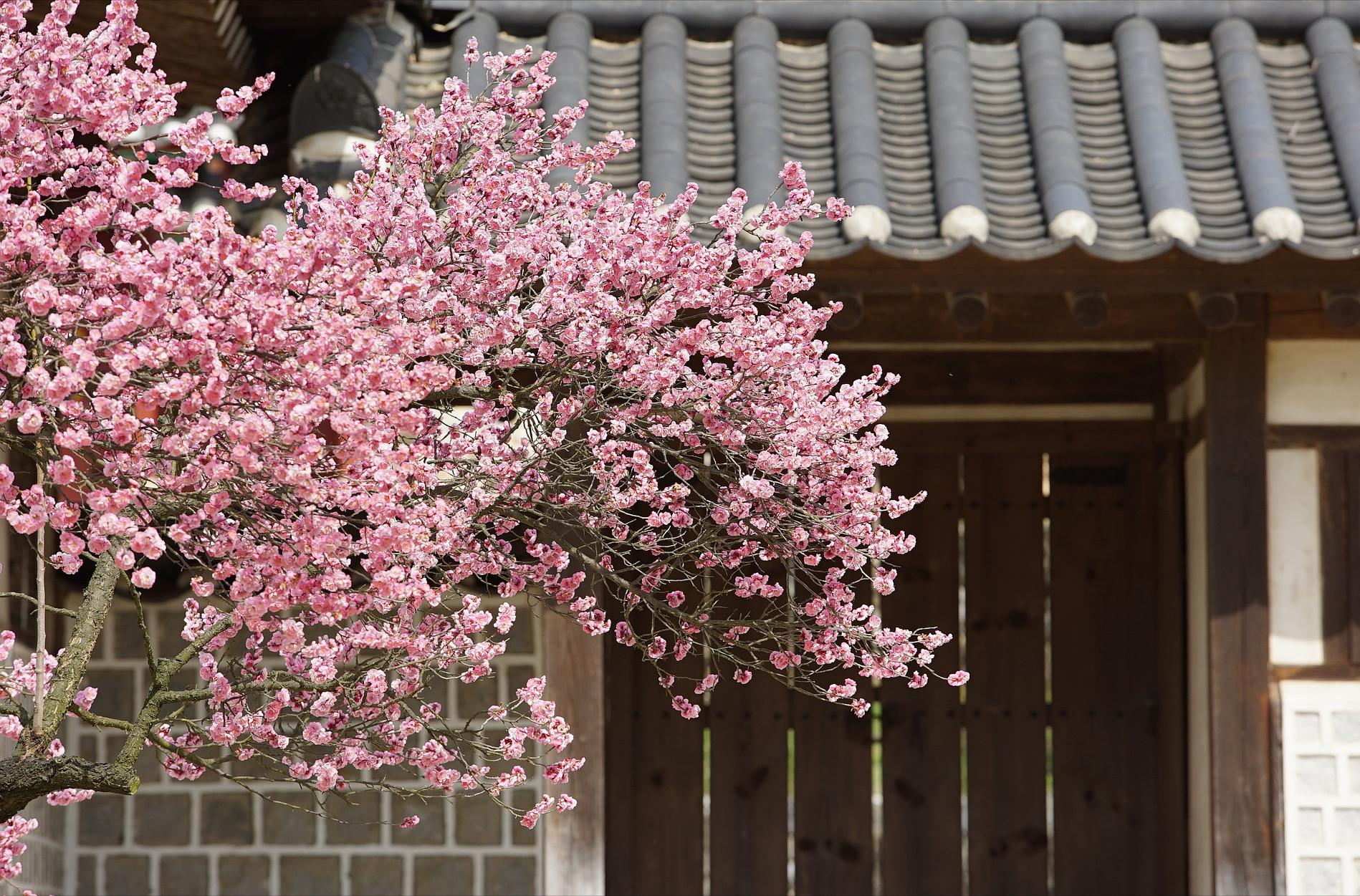 关于春天的100首经典诗词,十首诗词最懂春天的美