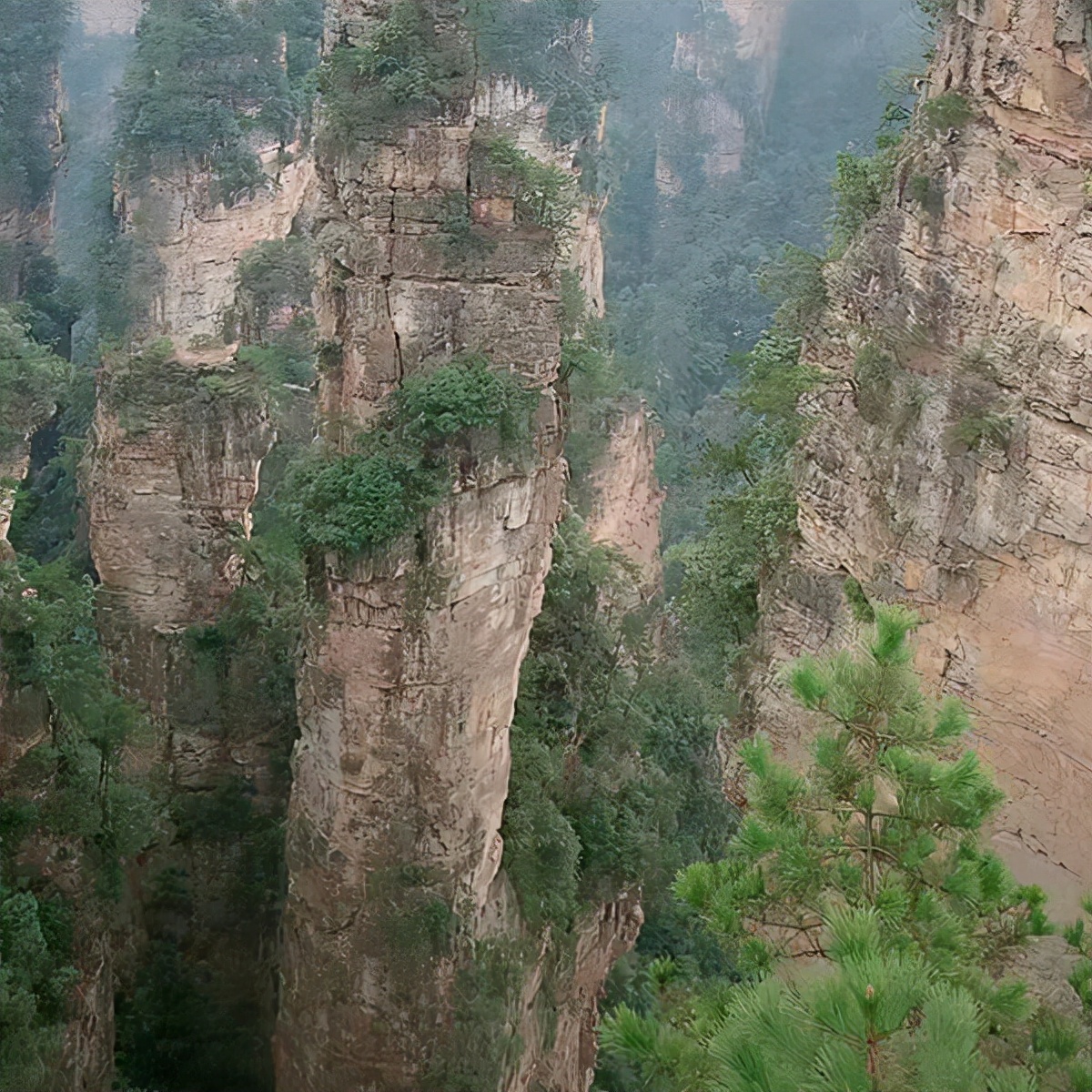 半夜遇到跳舞的诡异女人怎么办,半夜遇到诡异舞蹈