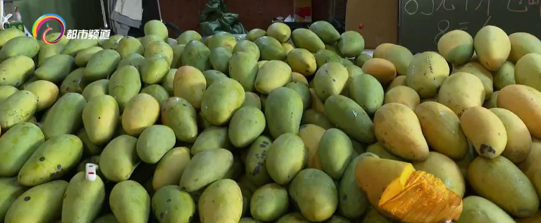 西双版纳的水果几月份成熟,西双版纳水果成熟季节