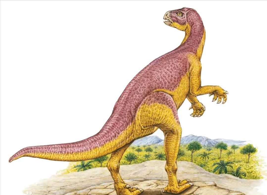 恐龙立体书科普恐龙,恐龙科普全集