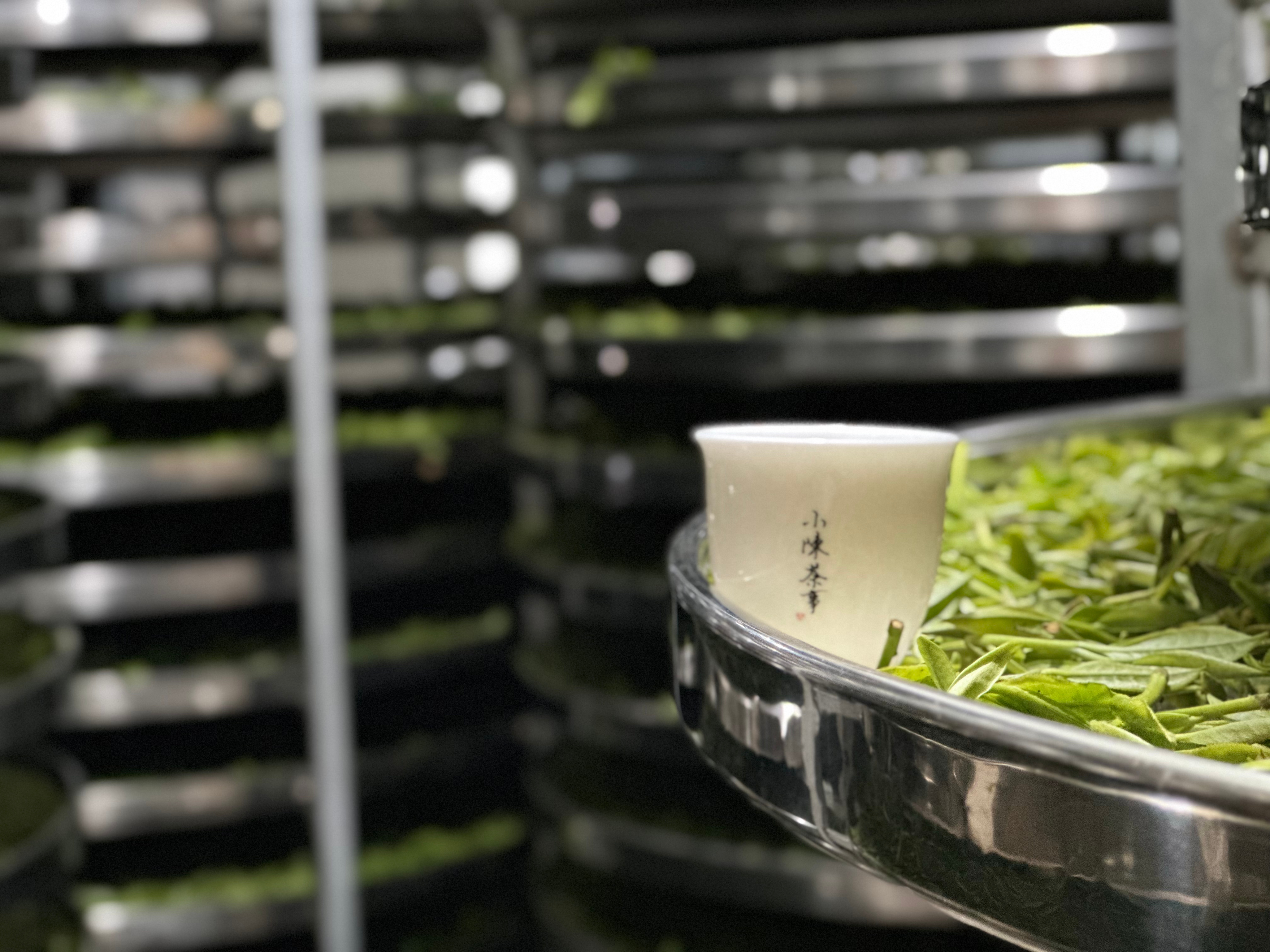 同样是茶红茶绿茶有什么区别,同样的茶叶为什么散茶比饼茶贵